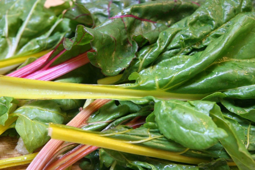 rainbow chard